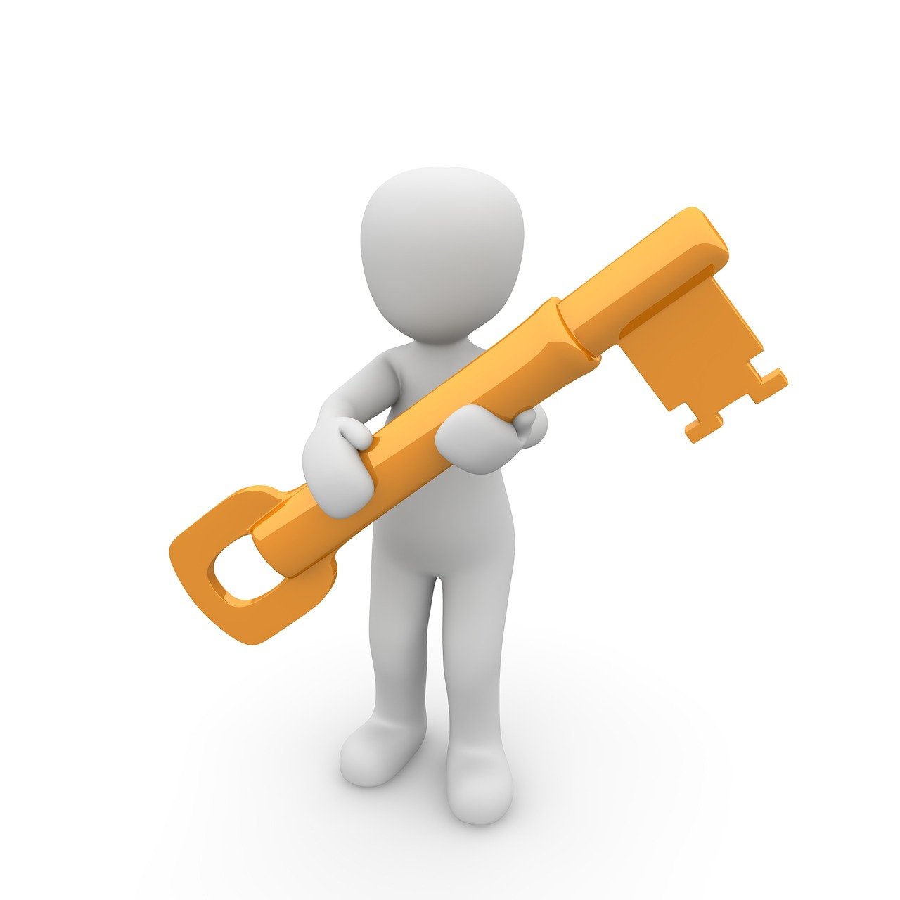 key, access, password, code, access data, protection, user name, technology, secure, security, key, key, key, key, key, access, access-1013662.jpg